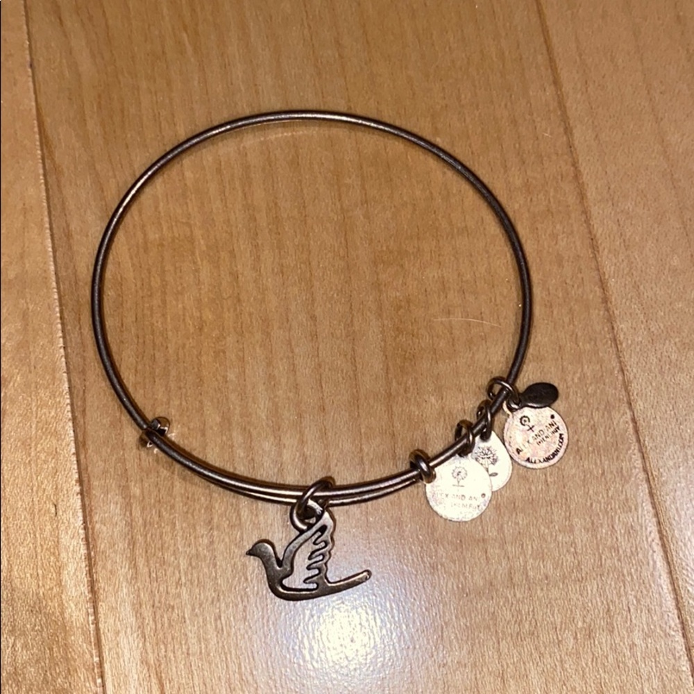Alex and Ani Bracelet